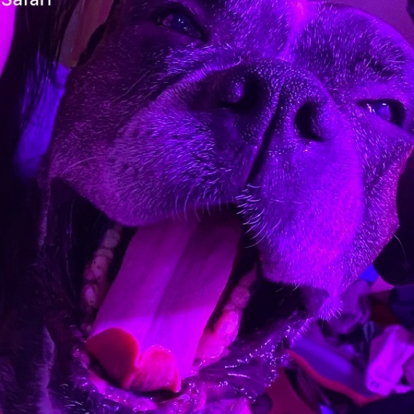 Meet your Posher, Jd - Picture 1 of 1